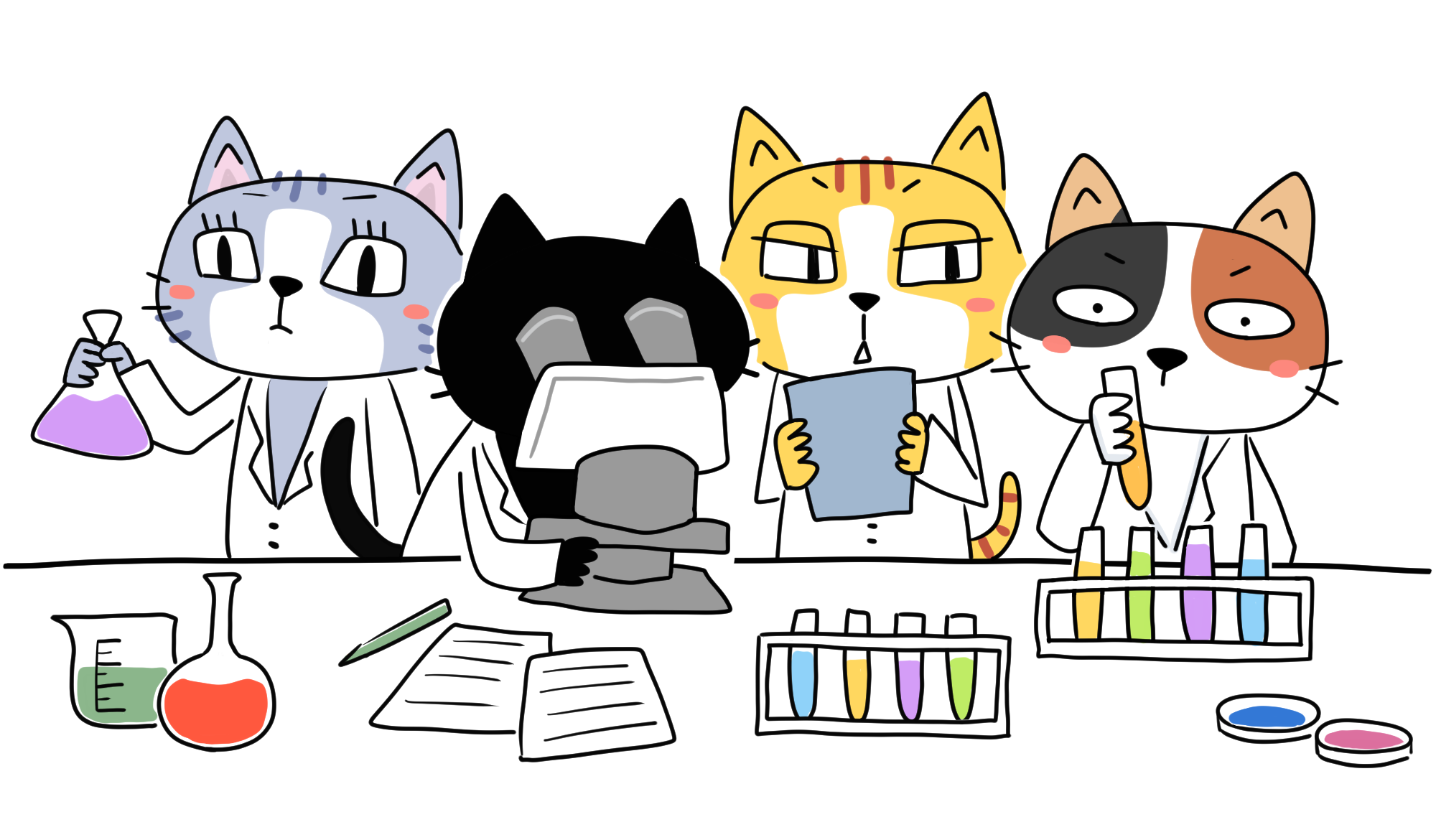研究者・猫